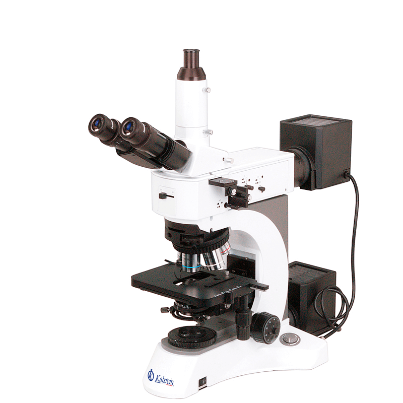 Technical Glossary and Key Terminology for the YR0255 Microscope