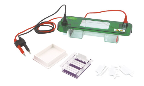 Horizontal Electrophoresis: Common Errors and How to Avoid Them in Daily Operation 2026