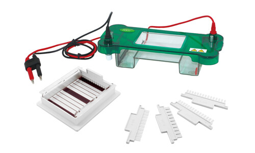 Understanding Environmental Conditions and Installation Requirements for the YR03416 Horizontal Electrophoresis