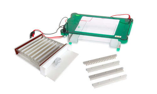 Customizing Your YR03421 Horizontal Electrophoresis Unit: Accessories and Advanced Configurations