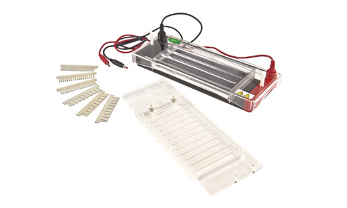 Customization and Advanced Configurations of the YR03422 Electrophoresis Unit