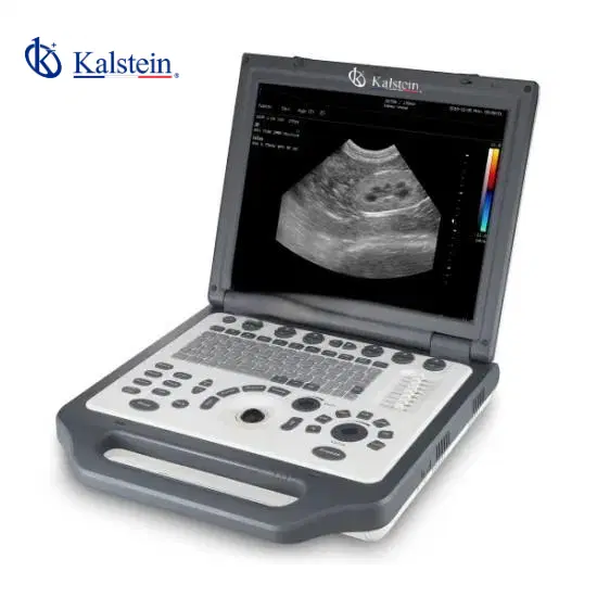 Predictive Maintenance and Periodic Calibration for Veterinary Color Doppler Systems