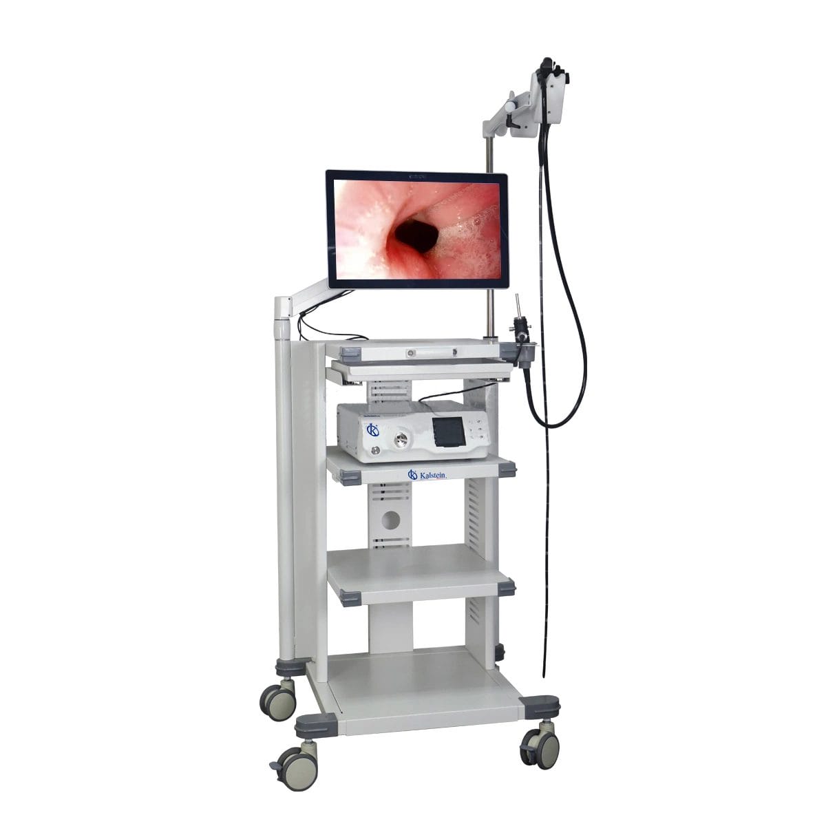 Technical Glossary and Key Terminology for the YR06149 Veterinary Video Endoscope