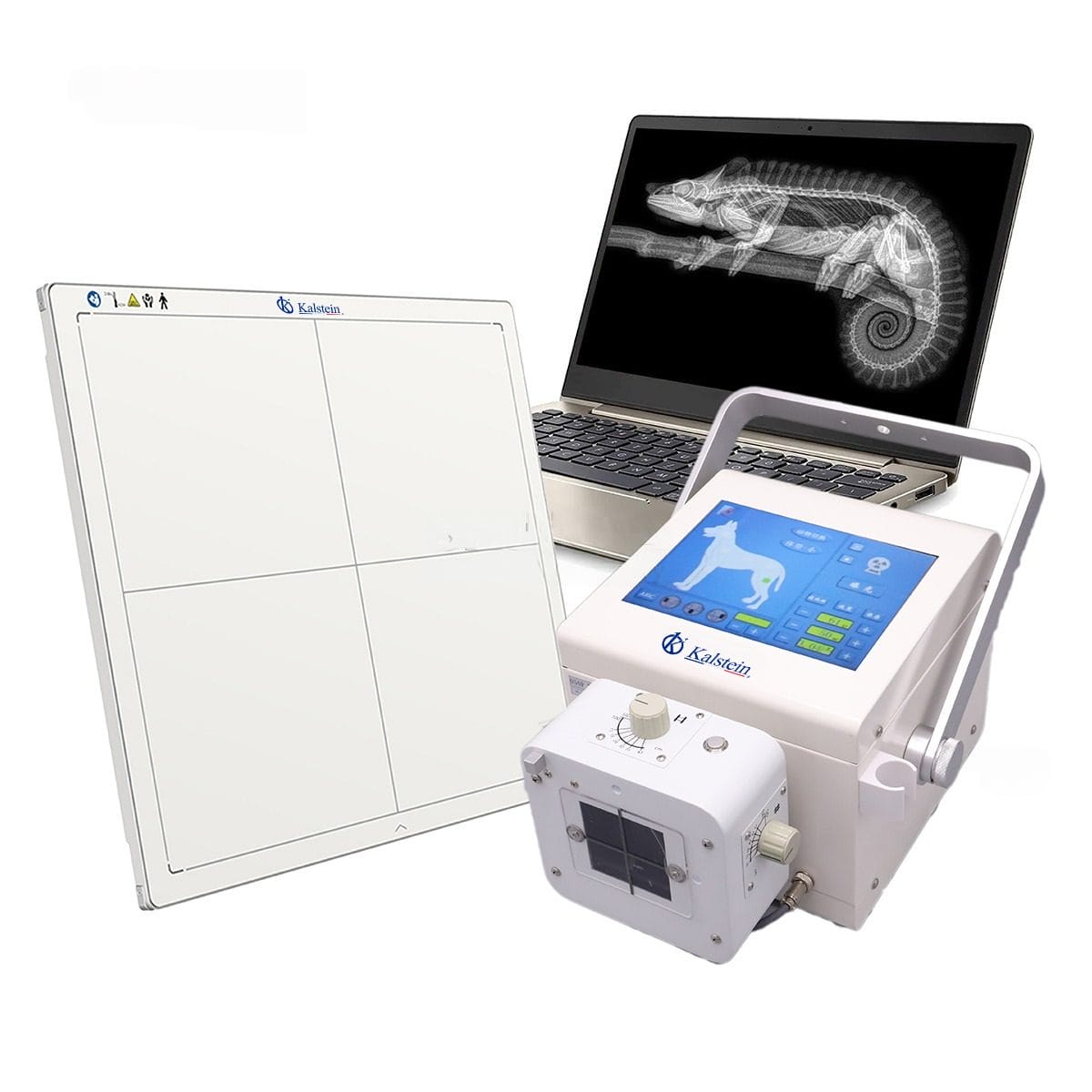 Installation and Commissioning Guide for the YR06160 Portable Digital Veterinary X-Ray