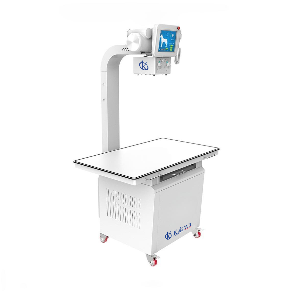 Adaptations of the YR06162 Digital Veterinary X-ray in Various Sectors