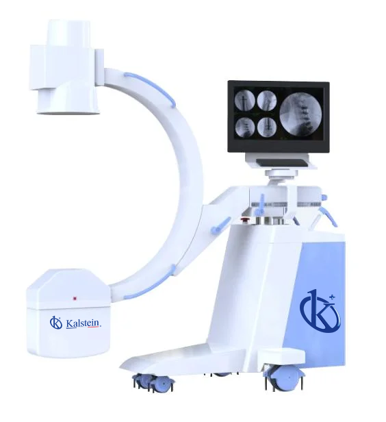 How is the YR06165 Mobile High-Frequency C-Arm System Adapted for Veterinary Applications?