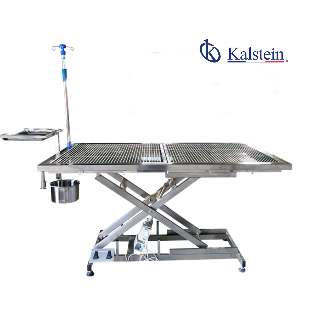 Interpreting Results and Reading Measurements with the YR06598 Electric Veterinary Operating Table