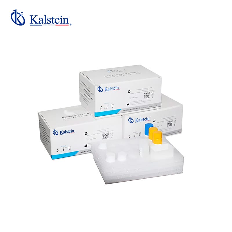 Chemiluminescence Reagents: A Practical Step-by-Step Guide in 2026