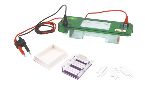 What are the principles of electrophoresis?