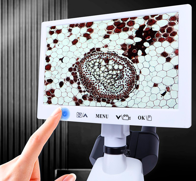 Types of microscopes: applications