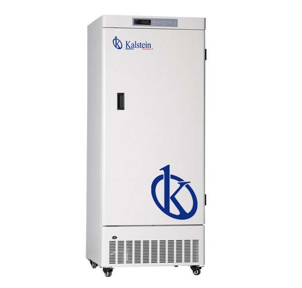 Upright Freezer
