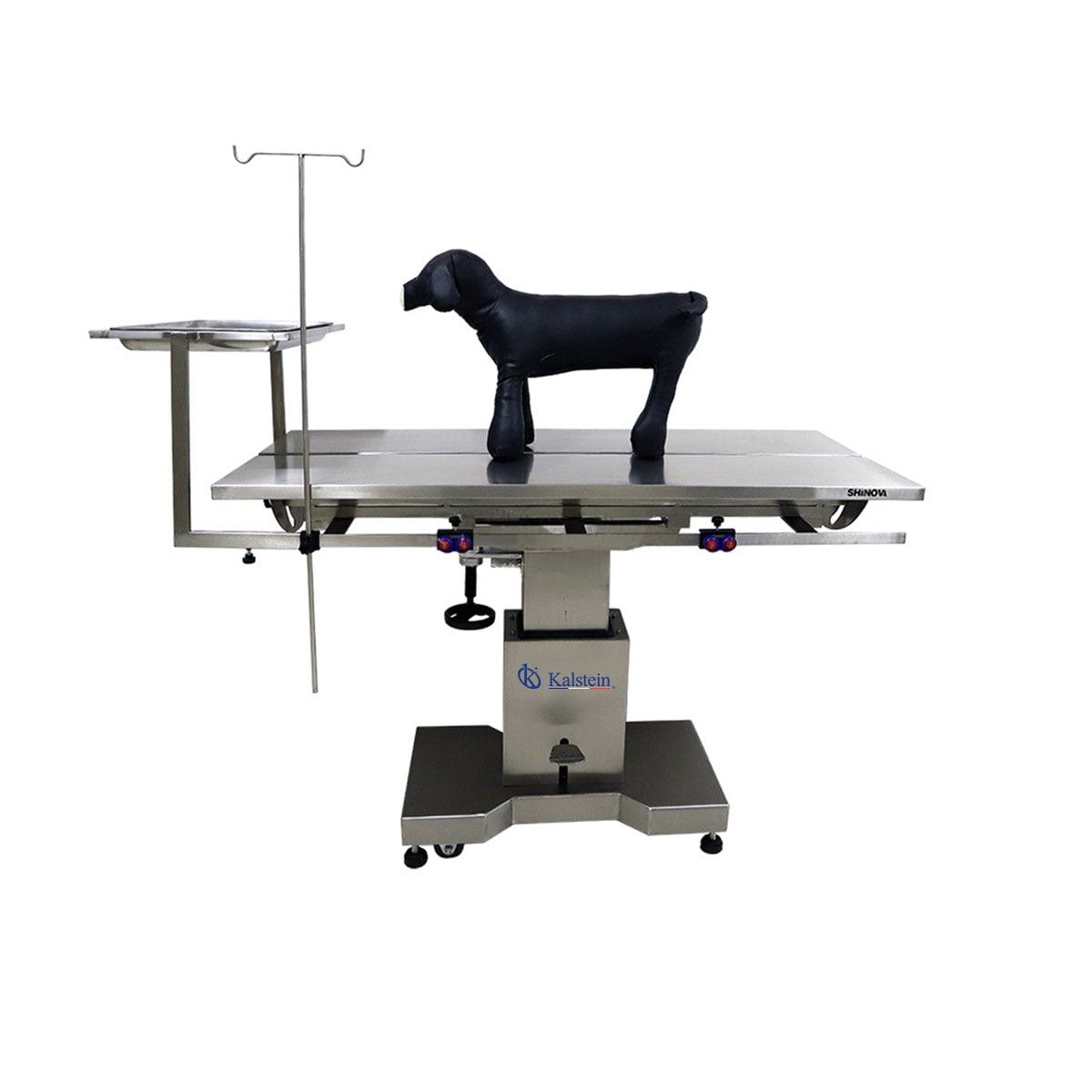 Innovation in Veterinary Care: The Relevance of the Kalstein Veterinary Surgery Table