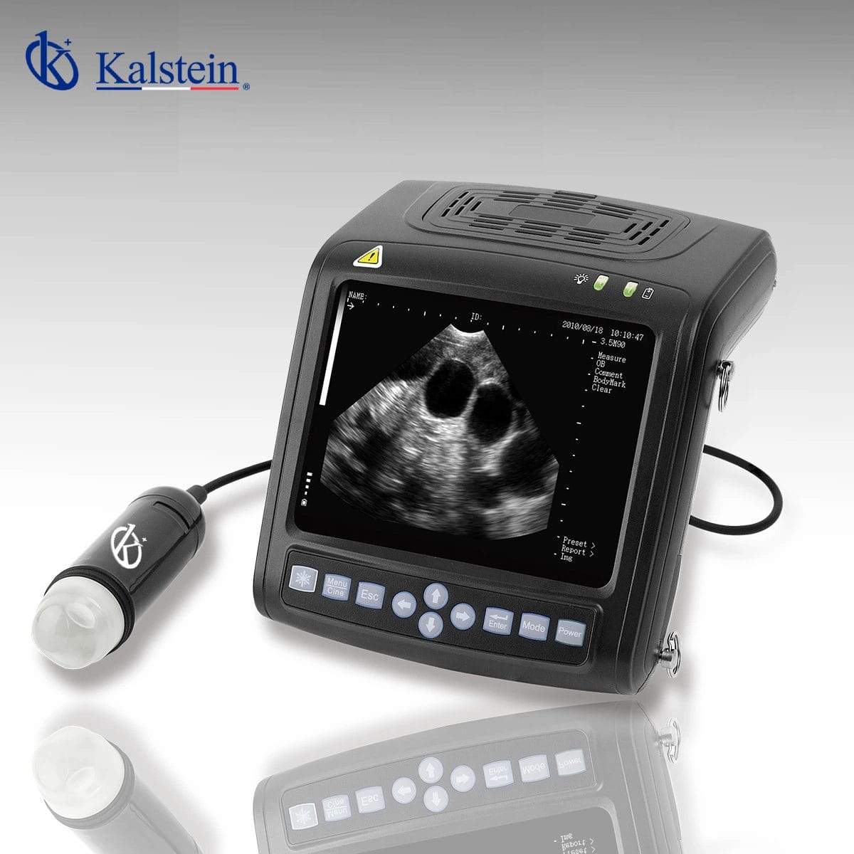 Consolidating Superiority in Veterinary Ultrasound Technology