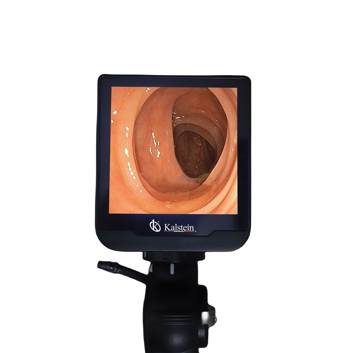 Découvrez les Avantages Révolutionnaires du Video Endoscope Veterinaire