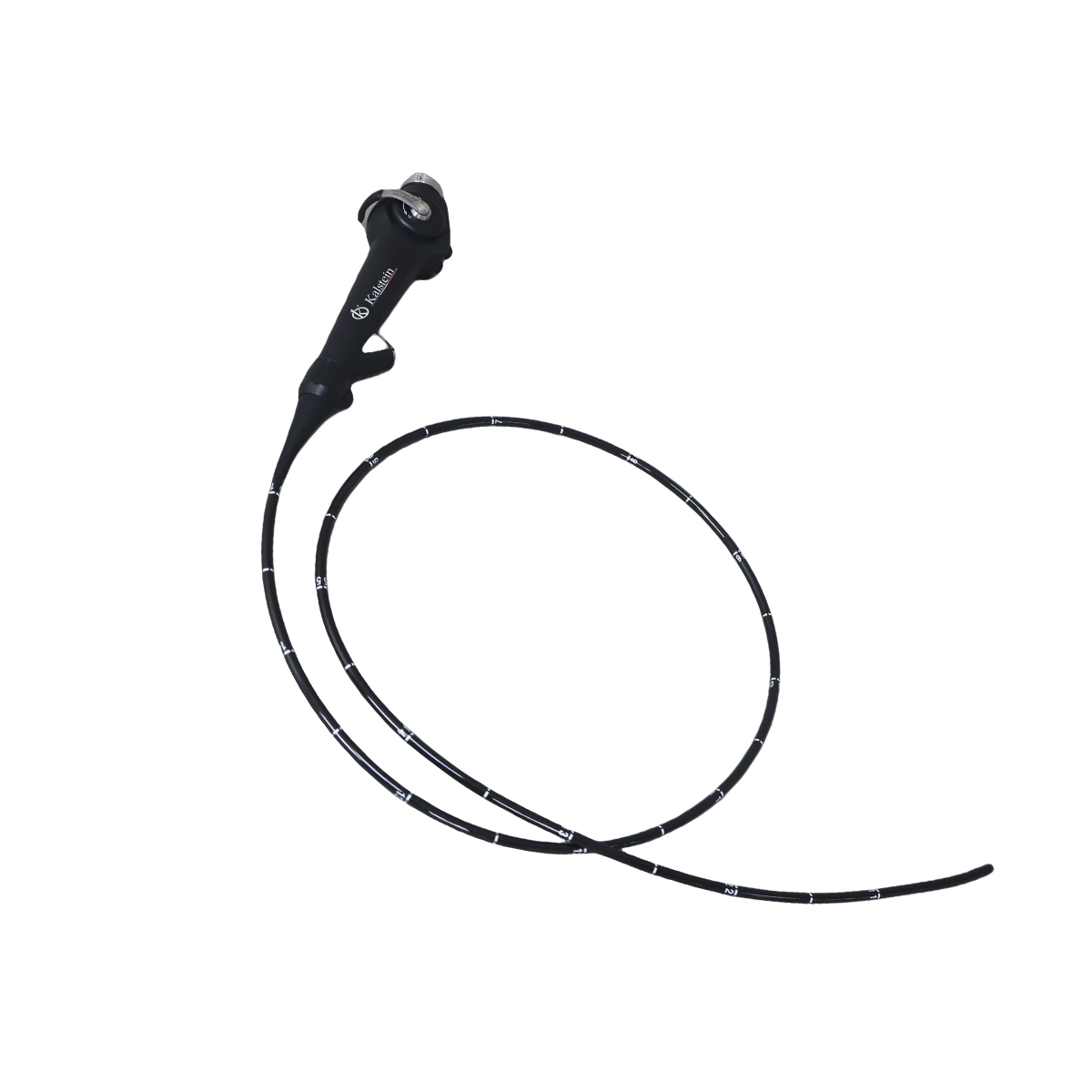 Discover the Cutting-Edge World of Veterinary Video Endoscopes