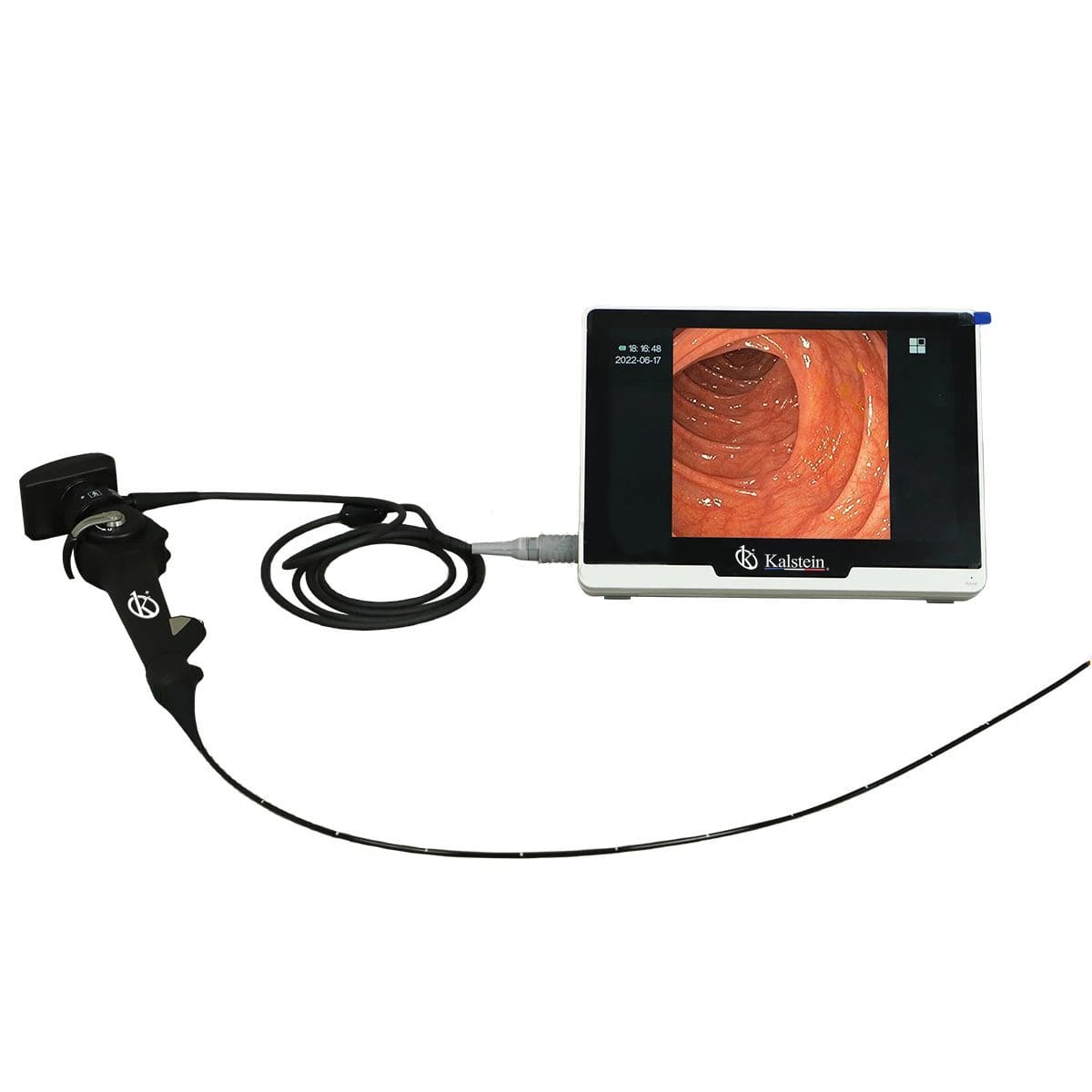 Enhance your professional training with a Kalstein veterinary video endoscope