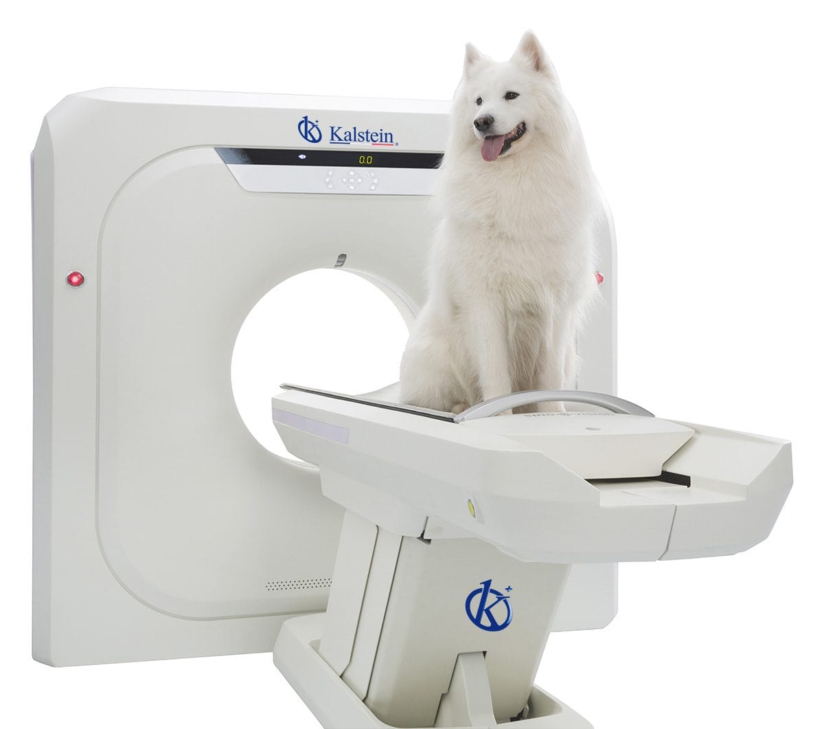 Revitalizing Veterinary Practice: An Intimate Look at Kalstein Veterinary Imaging Teams