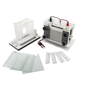 Decipher Molecular Mysteries: Advance in the Scientific Field with Electrophoresis Equipment