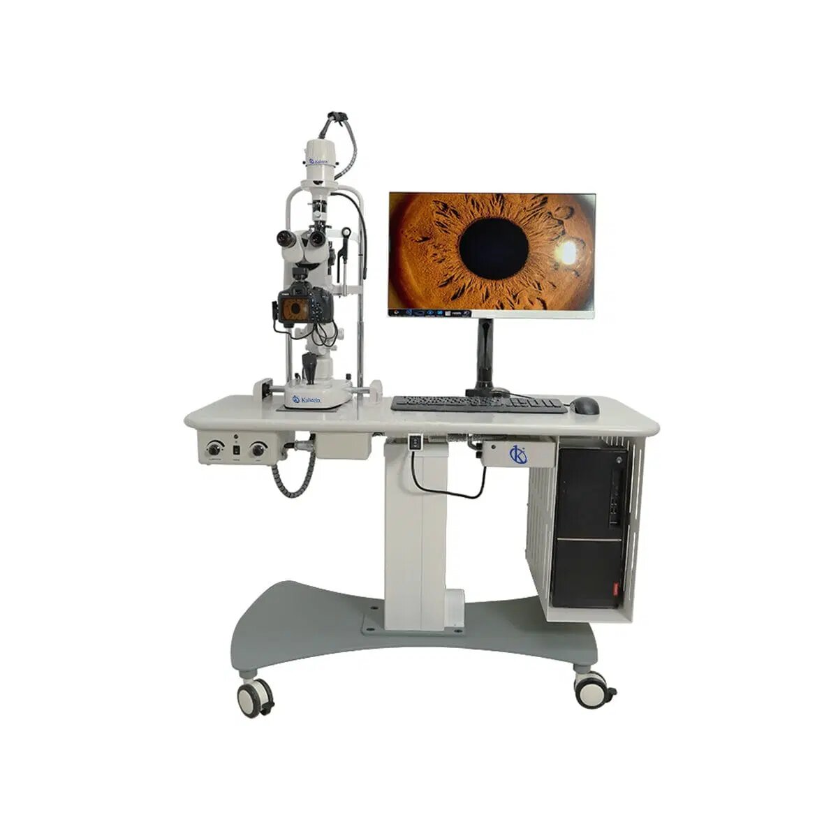 Kalstein Veterinary Lamps with Larger Lifespan