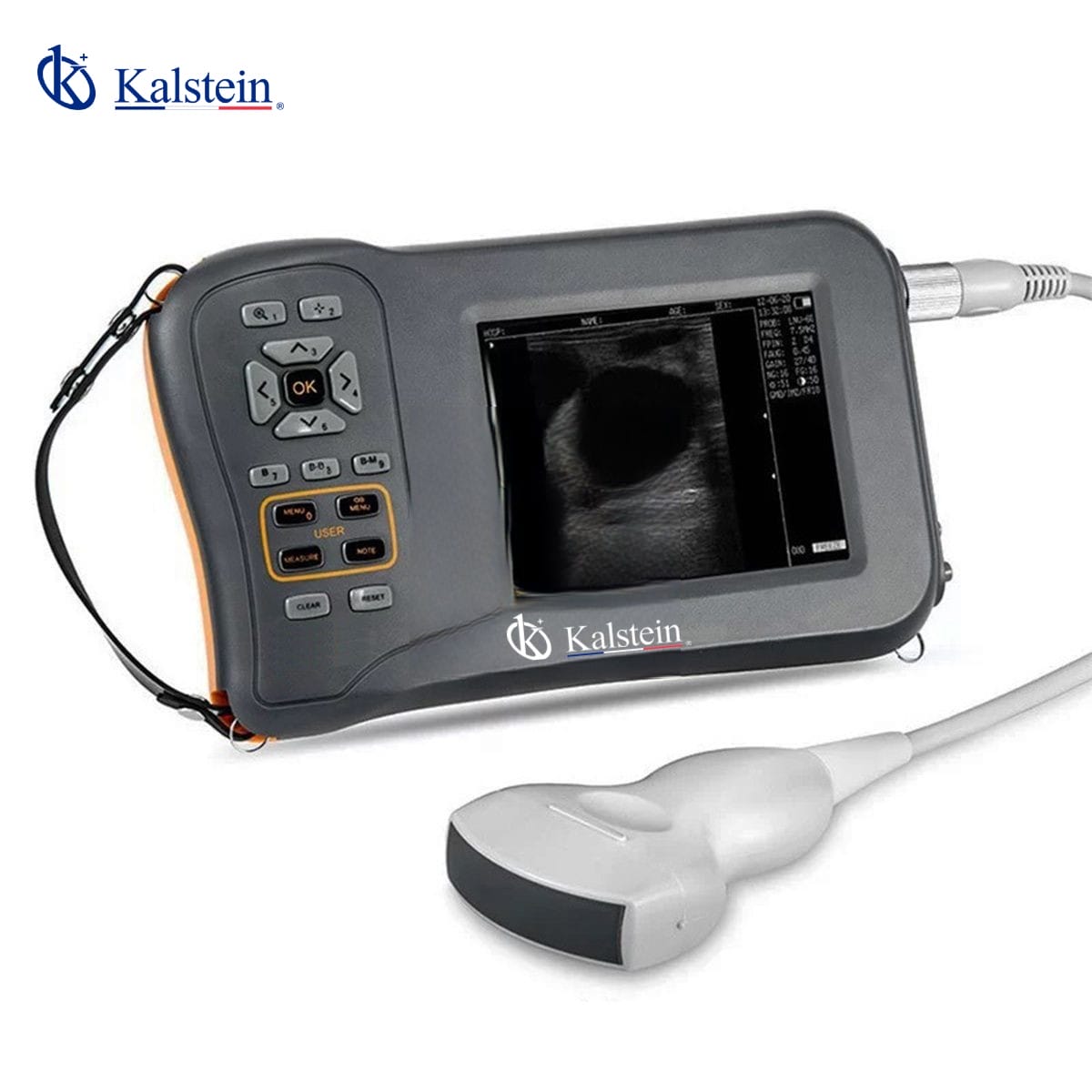 The Best Ally in Veterinary Clinics: Cutting-Edge Portable Ultrasound Technology
