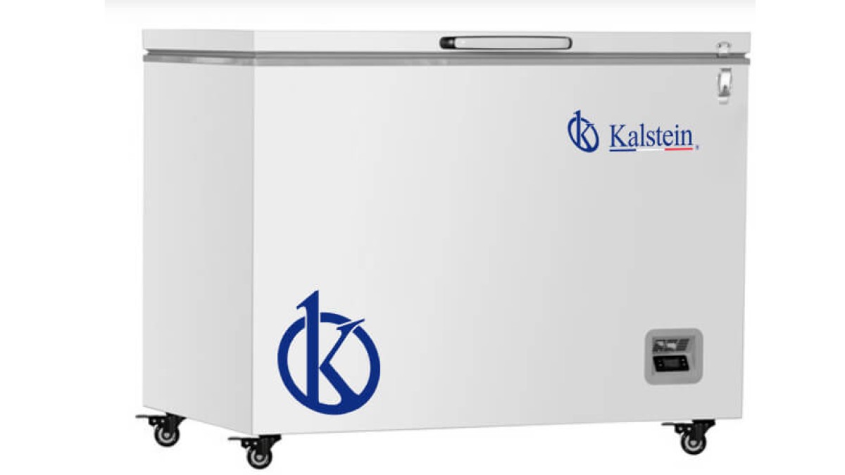 Maximizing Investment Returns with the Horizontal Freezer YR05103